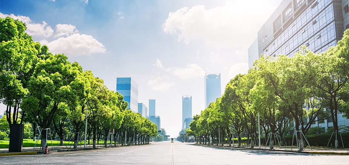 Kentsel-Dönüşüm-Süreç-Yönetimi